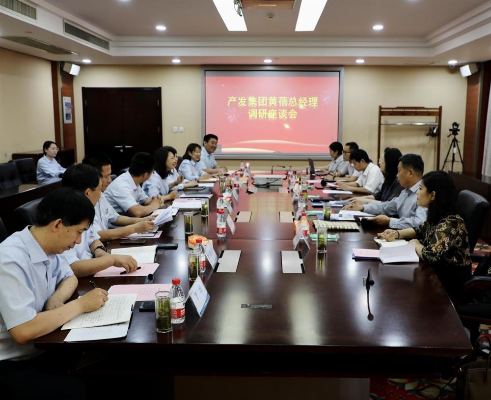 集團黨委副書記、總經(jīng)理黃蓓帶隊調(diào)研濟南市工程咨詢院